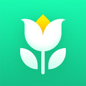 DOWNLOAD MOD